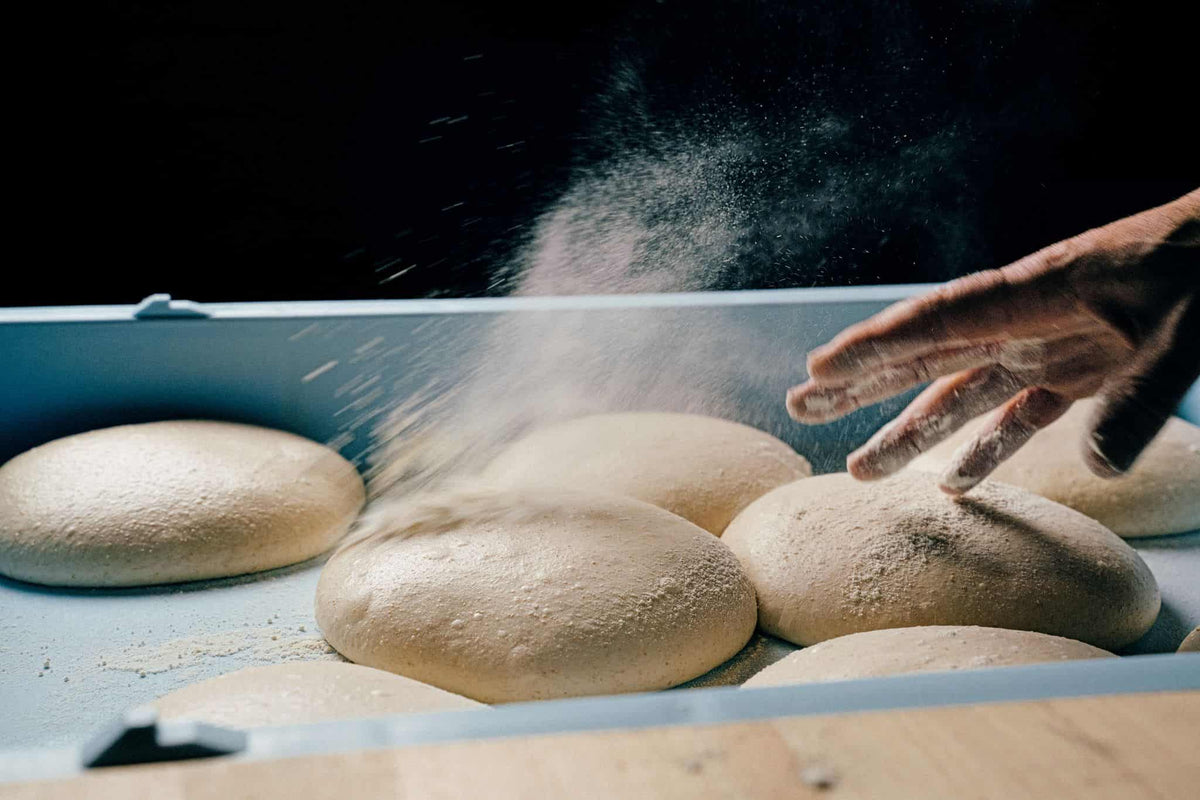 Dan Richer’s Everyday Pizza Dough — Ooni USA